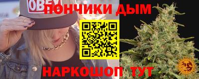 гидра Кингисепп