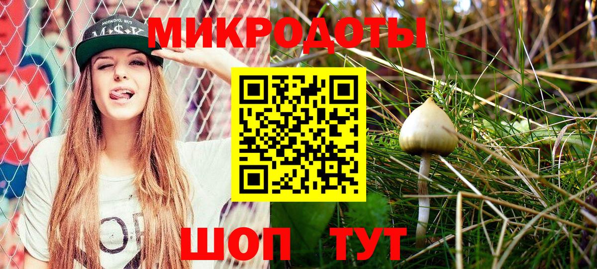 Красноармейск  Псилоцибиновые грибы GOLDEN TEACHER  Галлюциногенные грибы Cubensis  Вход с VPN 