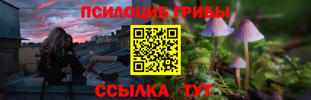 Псилоцибиновые грибы GOLDEN TEACHER Красноармейск
